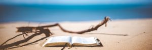 Werk aan je werkgeluk tijdens de zomervakantie